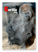 Gorilla