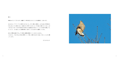 Birds@{摜1