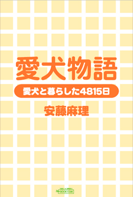 デザインサンプル「デザインパターンタイプ-8」