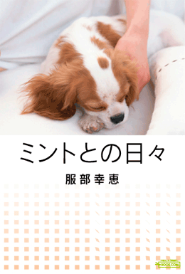 デザインサンプル「写真タイプ-12」