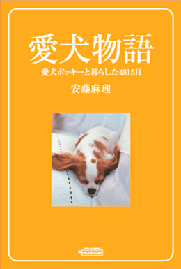 デザインサンプル「写真タイプ-14」