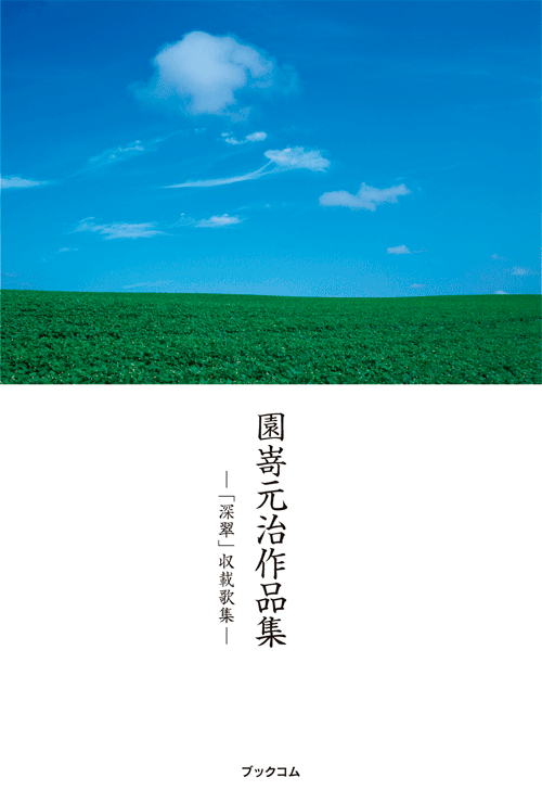 書籍画像「園嵜元治作品集」