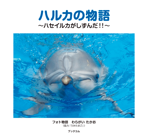 書籍画像「ハルカの物語」