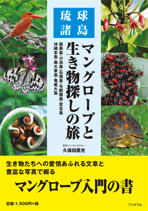 書籍画像「マングローブと生き物探しの旅」