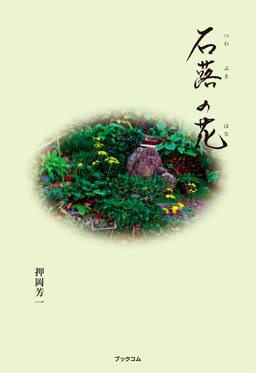 書籍画像「石蕗の花」
