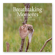 書籍画像「Breathtaking Moments」