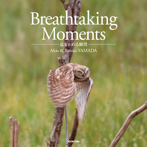 書籍画像「Breathtaking Moments」