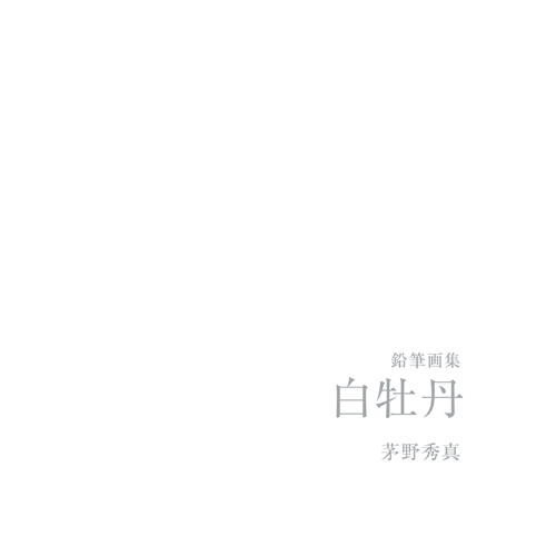 書籍画像「鉛筆画集　白牡丹」