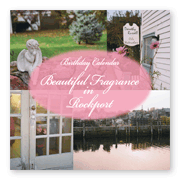 書籍画像「Beautiful Fragrance in Rockport」