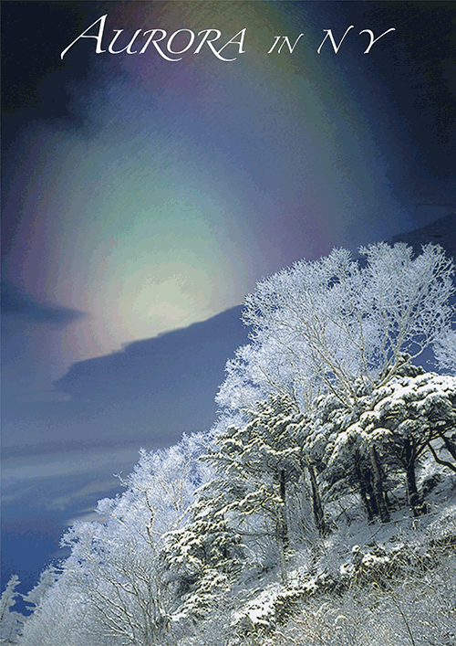 書籍画像「Aurora in NY」