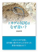 清原様の観察記「トカゲの尻尾はなぜ青い？」