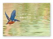 書籍画像「光彩の扉～翡翠～ しあわせの青い鳥」